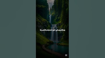 قرآن كريم بصوت جميل للقارئ عمر بن ضياء الدين #قرآن_كريم #quran #عمر_بن_ضياء_الدين