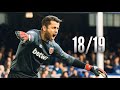 Łukasz Fabiański ● Saves Compilation ● 2018/19｜West Ham United｜HD