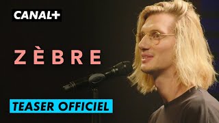 Bande annonce Paul Mirabel : Zèbre 