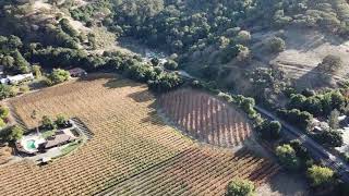 Napa California Wine Vineyard by drone.