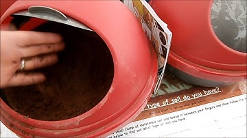 Soil types - sandy soils  (part 2 of 3)