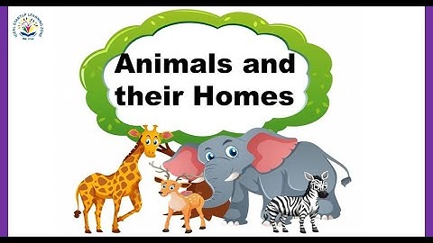 Animals and their homes | Lesson 1|Preschool online Learning | Preschool Videos