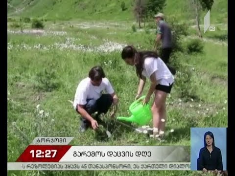 5 ივნისი გარემოს დაცვის საერთაშორისო დღეა