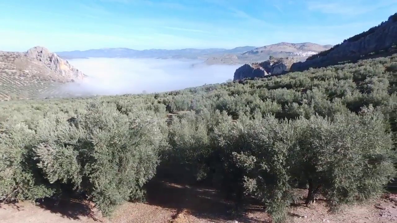 Moclin desde el aire Parrot bebop 2