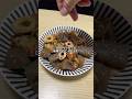 190円で作った味噌ダレこんちくわが美味すぎた🎠 #料理 #節約レシピ #ちくわ#こんにゃく