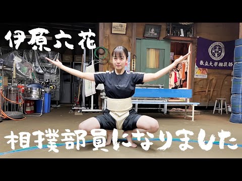【女子相撲】シコふんじゃった！ティザー映像！！これが青春どすこいコメディーだよ。【伊原六花】