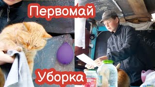 VLOG Первомайская уборка в классе. Вытираю лапки коту. Куда без музыки