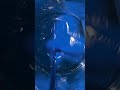 Reactive hot-melt adhesive system based on polyurethane