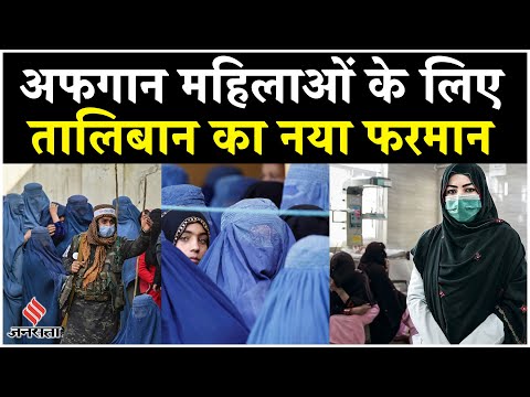 Taliban Afghanistan News: NGO बंद कर देंगे... तालिबान ने NGO के खिलाफ लगाई नई पाबंदी क्या बोला UN ?