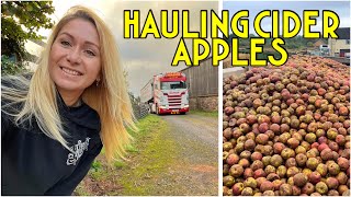 Hauling Cider Apples | Spillages | Big Yellow T Cab Spotting
