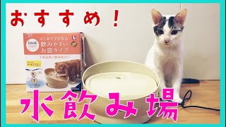 【実況】安価で買えるオススメ猫用給水機！安心水飲み猫/ピュアクリスタル