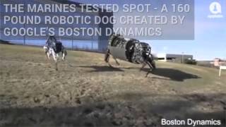 Marines Start Training Their Robo Dog Spot