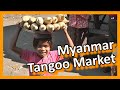 Myanmar 2012 - Amazing open air farmers market of Taungoo (1033)