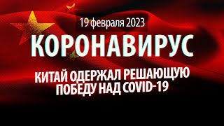 Китай победил COVID-19. Статистика коронавируса в России на сегодня, 19 февраля 2023