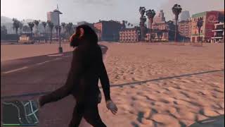 sad monkey goes to sad beach and then sad police violently shoot at him