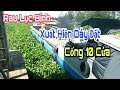 Rau Lục Bình Xuất Hiện Dày Đặt Cống 10 Cửa Ghe Tàu Vượt Cống Có Thành Công/Boat move difficult [NCL]