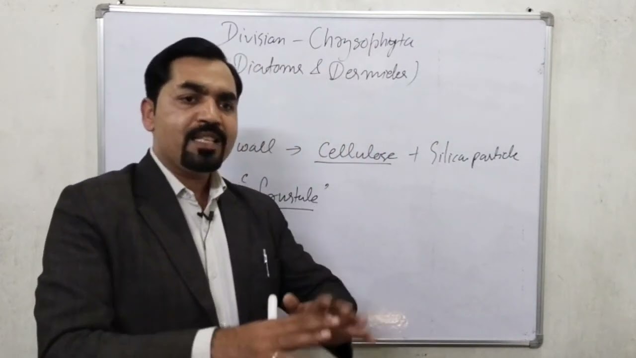 Biology by JP Gaur Sir || Plant Diversity | Lecture -15.