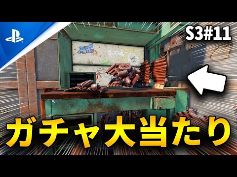 わらぶい