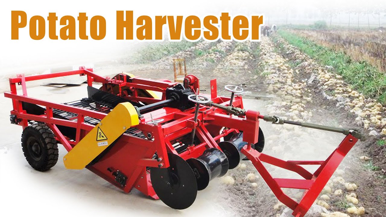 Dewulf unveils first mounted 3-row belt planter – Potato News Today, image size:1280x720