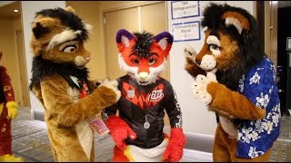 Kitwana's Fursuiting Joy: Anthro Northwest 2019 Kitwana's Fursuiting Joy: Anthro Northwest 2019