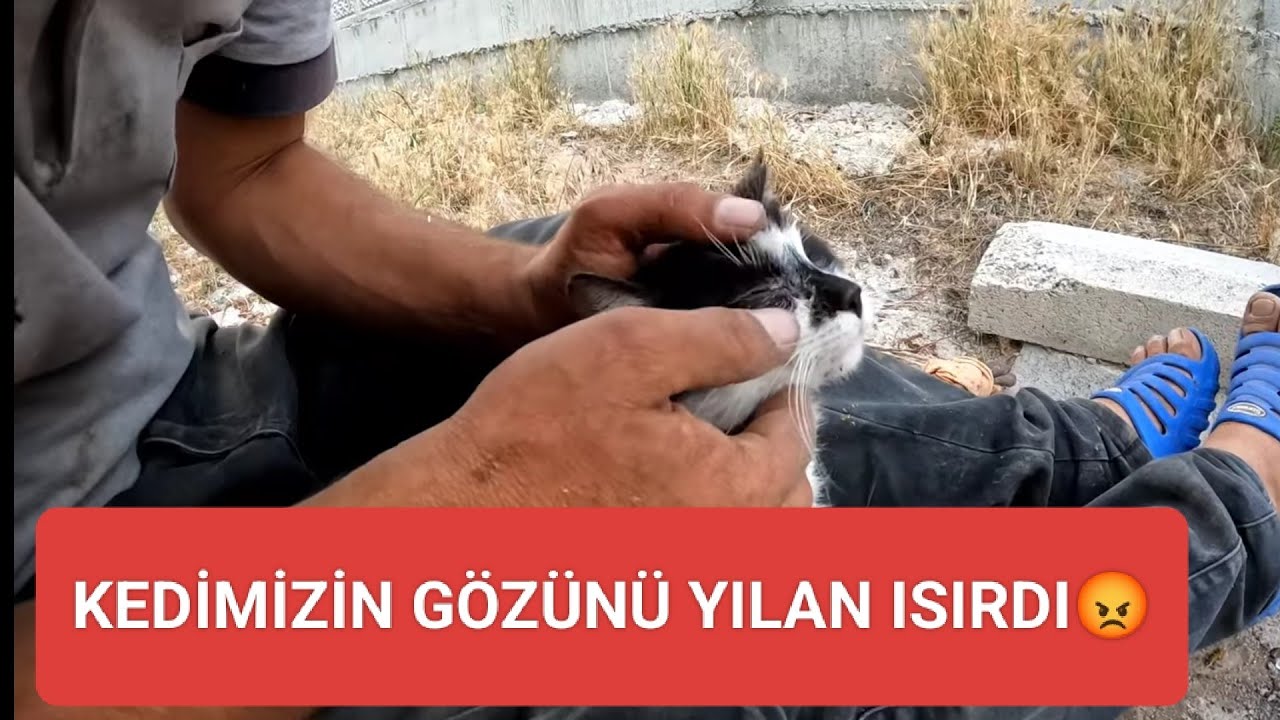 BALYE YAPTIK YAĞMUR GELDİ😵