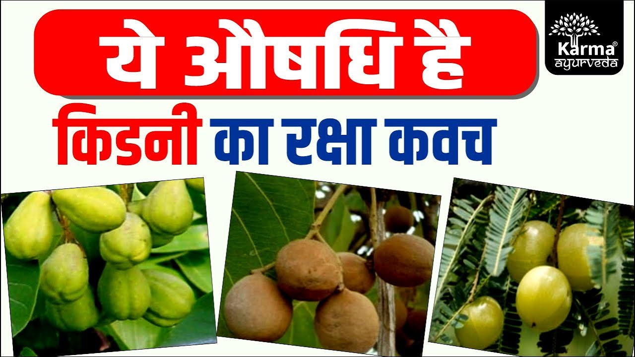 ये औषधि है किडनी का रक्षा कवच Is Triphala good for creatinine