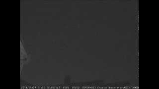Camelopardalids Meteor Shower 2014
