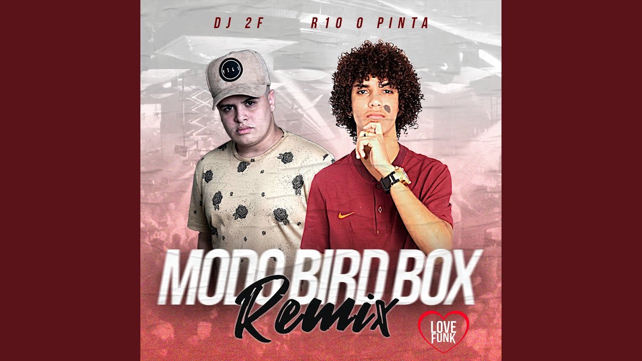 Modo Bird Box (Remix) - YouTube