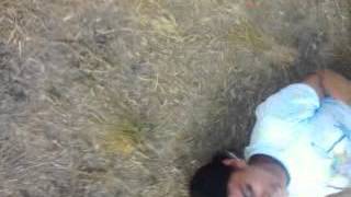 Bulinando A Baixinha.