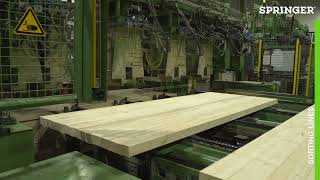 Sorting Lines by SPRINGER
