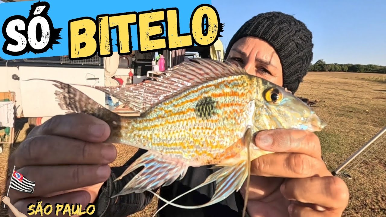 SEMPRE OS MAIORES QUE ESCAPAR NA ... T.03 EP.106