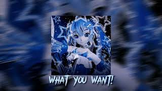 WHAT YOU WANT! (speed up) | asteria (feat. Miku) Resimi