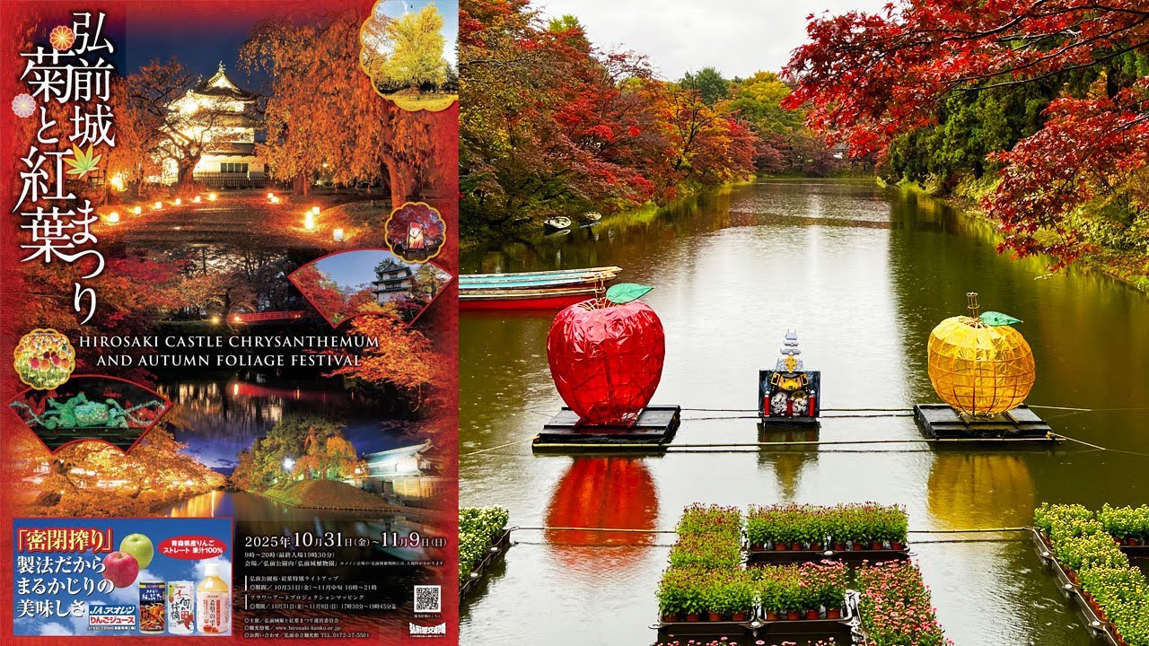 青森「弘前城菊と紅葉まつり」で紅葉🍁を見て回ろう（朝） 2025.11.1