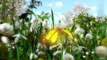 Environment Conclave 2022