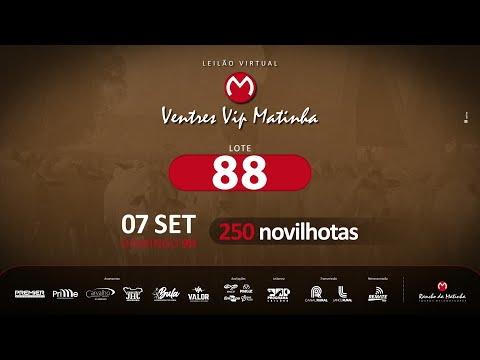 LOTE 88