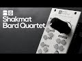 Shakmat bard quartet demo