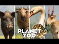 ALL 180 ANIMALS! || Every Single Animal in Planet Zoo || Including DLC Eurasia Pack December 2023