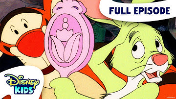 Luck Amok / Magic Earmuffs | The New Adventures of Winnie the Pooh S1 E15 | @disneykids