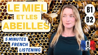 Le miel et les abeilles - Honey and bees | 5 Minutes Slow French for B1 and B2 🇫🇷