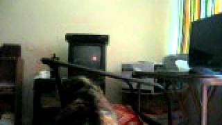 Blakes-kitties-June-2010 044.AVI