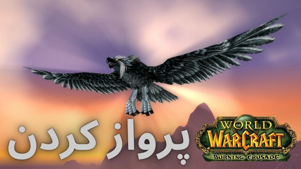 Flying form. Flying form. Fly 3 формы глагола. Облик совы для друида. Ночной эльф друид.