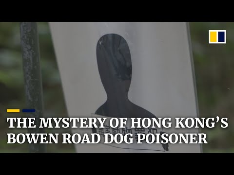 The mystery of Hong Kong's Bowen Road dog poisoner
