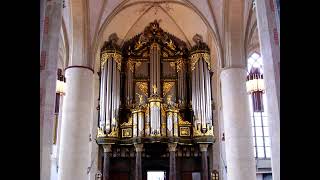 Wim van Beek plays Buxtehude, Böhm & Bach — Martinikerk, Groningen | NCRV Radio (1984)