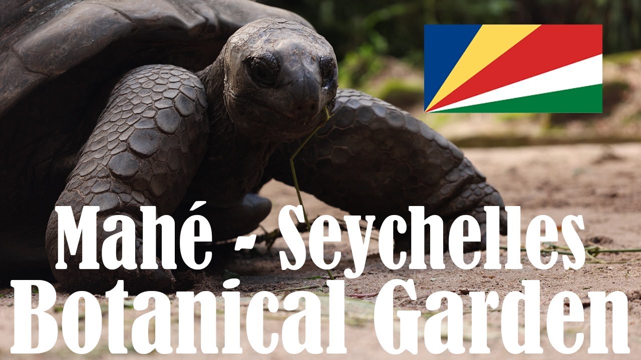 Mont Fleuri Botanical Gardens in Victoria, Mahé, Seychelles