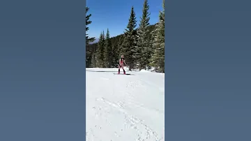 Bikini Snowboarder Slams Into Tree and Fall Hilariously