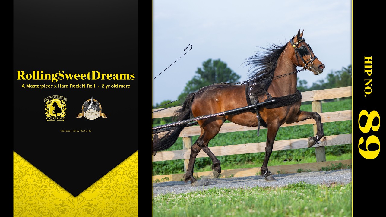 NeilJ.RoseChiefRedHorse限定2500体ネイティブアメリカン NeilJ