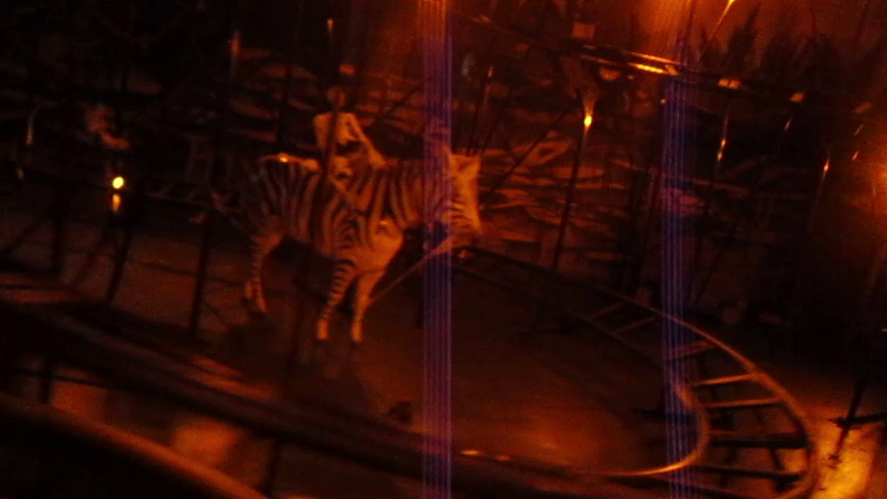 Tiger Terror Back Row POV Safari Land Villa Park, IL 101218 YouTube