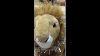 talking lion.MOV screenshot 1