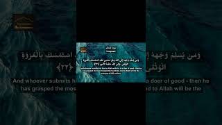 Beautiful Recitation of Surah Luqman by Salah Bukhatir #quran #tilawat #beautifulrecitation