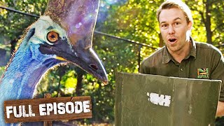 Riot Shields Required for Aggressive Cassowaries 🛡| The Wild Life of Tim Faulkner S1 Ep 7 | Untamed Profile